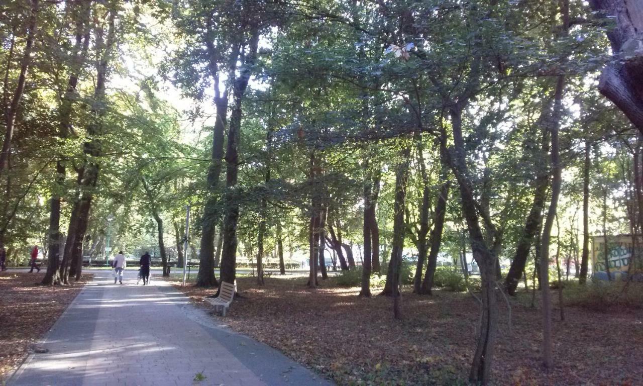 Apartament Żaglowce 科沃布热格 外观 照片